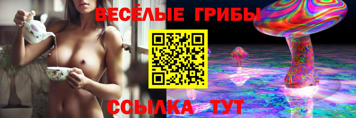 Псилоцибиновые грибы мицелий Железноводск